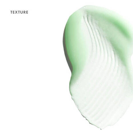 skinceuticals phyto a plus moisturiser texture